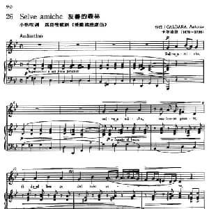 Selve amiche 意大利 _外国歌谱_词曲: 卡尔达拉