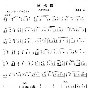 葫芦丝谱 | 拉祜情 谭学金