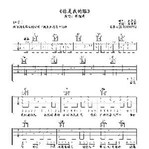 你是我的眼_歌谱投稿