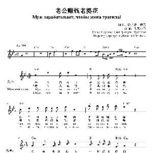 老公赚钱老婆花_歌谱投稿_词曲:徐子淳 黄芳 徐子淳 黄芳