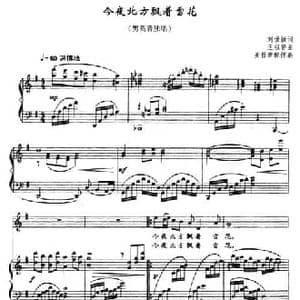 今夜北方飘着雪花_民歌简谱_词曲:刘世新 王祖皆
