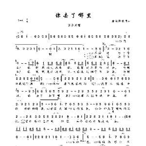 你去了哪里_歌曲简谱_词曲:瑞雪风景 瑞雪风景