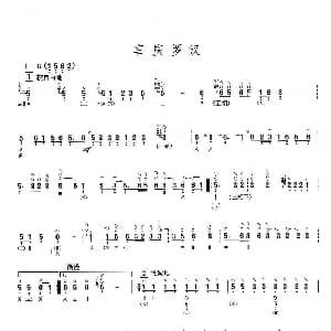 琵琶谱 | 喜庆罗汉