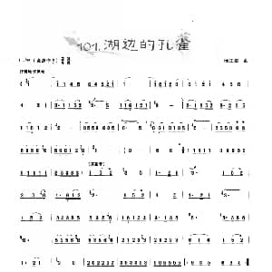 葫芦丝谱 | 葫芦丝曲精选 湖边的金孔雀 杨正玺曲 王甲坤 王甲华编著