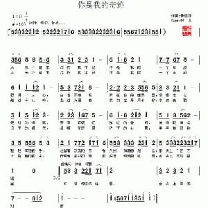 你是我的奇迹_通俗唱法乐谱_词曲:聂建新 村夫