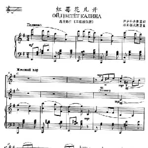 红莓花儿开 前苏联 _外国歌谱