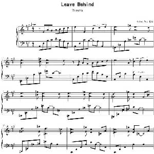 Leave Behind 钢琴谱 Yiruma作曲 SilverRay制谱