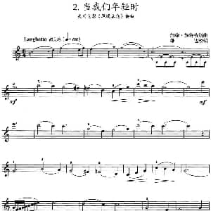 小提琴谱 | 当我们年轻时 美国电影 翠堤春晓 插曲 约翰 施特劳斯曲 雄达改编
