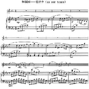 小提琴谱 | 神秘园 泪光中 In our tears