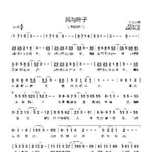 风与叶子_歌曲简谱_词曲:许松 虎卫东