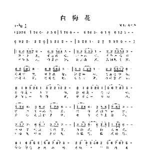 白梅花_歌曲简谱_词曲:肖光平 肖光平
