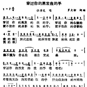 穿过你的黑发我的手_通俗唱法乐谱_词曲:罗大佑 罗大佑