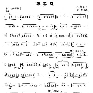 笛子谱 | 望春风
