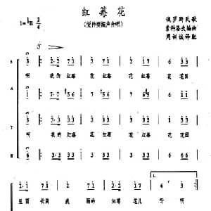 红苺花 俄罗斯 _外国歌谱