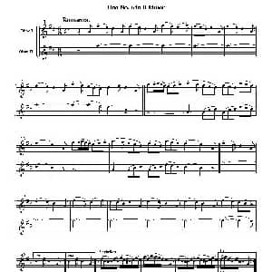 Duo No.6 in d Minor 双簧管二重奏