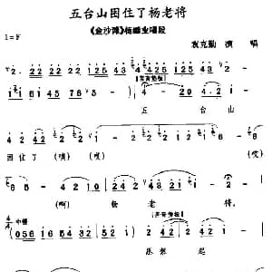 秦腔 五台山困住了杨老将 金沙滩 杨继业唱段 袁克勤