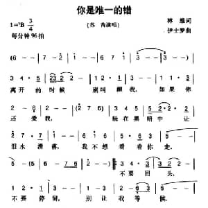 你是唯一的错_通俗唱法乐谱_词曲:林维 伊士梦