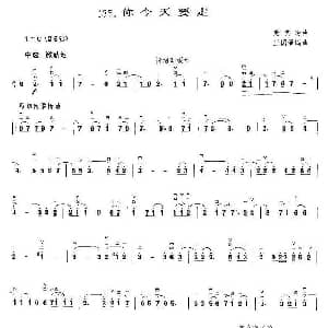 二胡谱 | 你今天要走 王国潼编曲 熊美玲