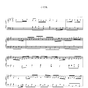 小行板 钢琴谱 张延泽