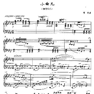 小曲儿 钢琴谱 贾韵