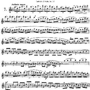 长笛曲谱 | 二十首练习曲作品132号之7 Garibold 加里波第