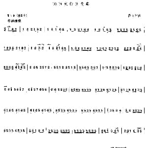 西皮行弦变奏 京胡 费玉平