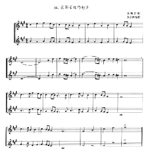 在那遥远的地方 小号二重奏 青海民歌 张新林