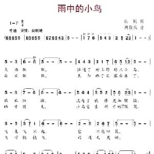 雨中的小鸟_儿歌乐谱_词曲:志同 胡俊成