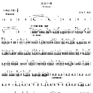 丝弦小调 中音板胡