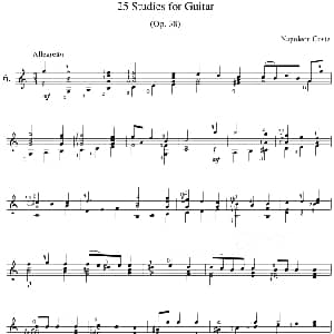 Napoleon Coste 25 Studies,Op.38 吉他谱