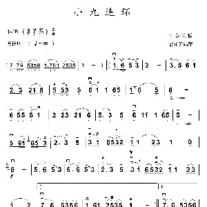 二胡谱 | 小九连环 彭正元