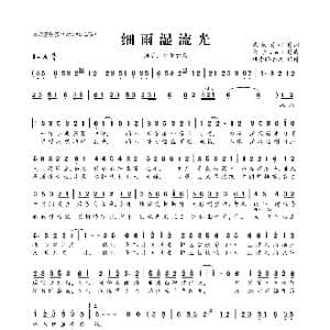 细雨湿流光_歌曲简谱_词曲:乘物游心 兔子Jei