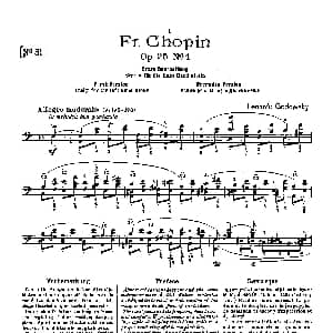 53首以肖邦练习曲为素材而作的练习曲 钢琴谱 里奥鲍尔德 戈多夫斯基