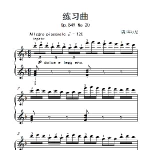 第五级 1.练习曲 中央音乐学院 钢琴 业余 考级教程 4 6级 奥 车尔尼
