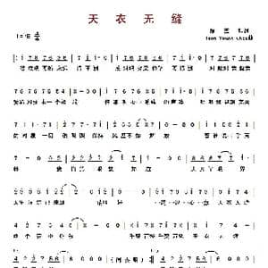 ​天衣无缝_歌曲简谱_词曲:廖莹如 Joon Young Choi