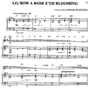 LO,HOW A ROSE E'ER BLOOMING 钢琴谱