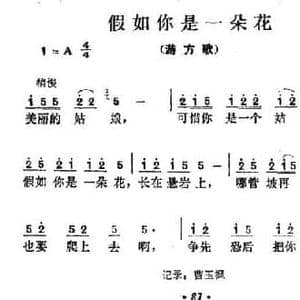 假如你是一朵花_民歌简谱