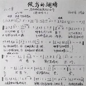 候鸟的翅膀_歌曲简谱_词曲:孙卫东 孙卫东