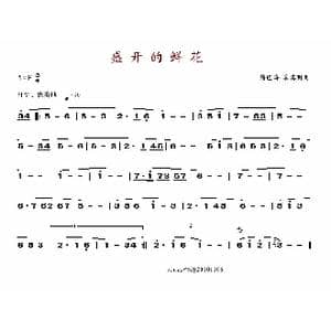 盛开的鲜花_歌谱投稿