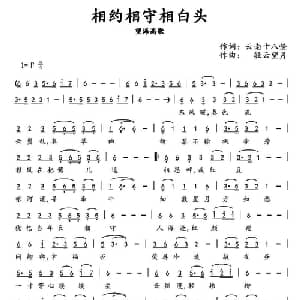 相约相守到白头_通俗唱法乐谱_词曲:云南十八怪 轻云望月