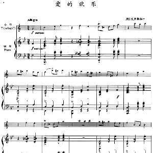 爱的欢乐 小号 钢琴伴奏 奥 克莱斯勒