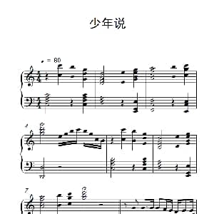 少年说 钢琴谱