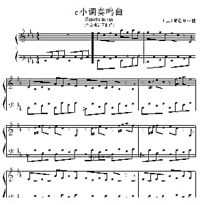 钢琴公主的浪漫钢琴 c小调奏鸣曲 钢琴谱 美 琳达 珍蒂