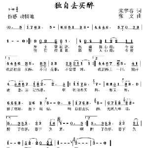 独自买醉_通俗唱法乐谱_词曲:宋宇春 张文