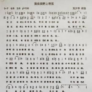 我在田野上寻觅_歌谱投稿_词曲:刘少华 刘少华