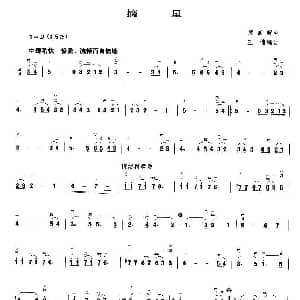 二胡谱 | 摘星 王国潼 编曲