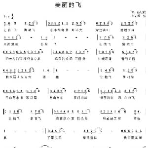美丽的飞_通俗唱法乐谱_词曲:应忆航 盛铎