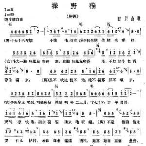 撵野猫_民歌简谱