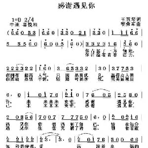 感谢遇见你_通俗唱法乐谱_词曲:王慧琴 黎荣军