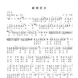 醉在苗乡_民歌简谱_词曲:张楠 张楠